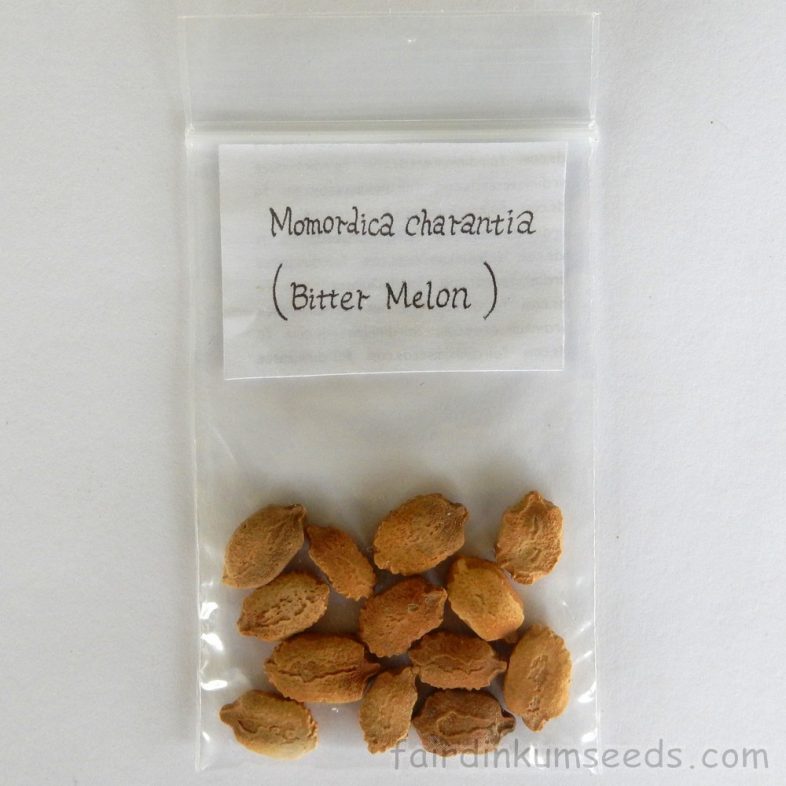 Bitter Melon Gohya Momordica Charantia Seeds | Fair Dinkum Seeds