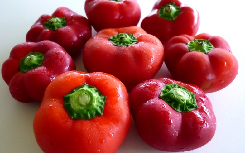 Soccer Ball Stuffing Capsicum Frutescens Seeds