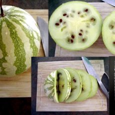 Jam Melon Citrullus Lanantus Watermelon Seeds