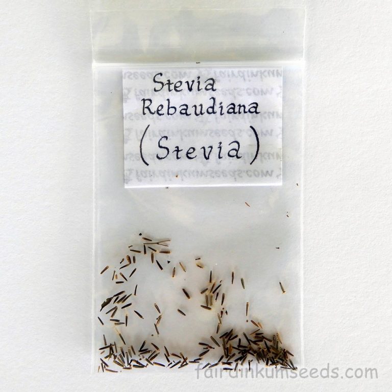 Sweet Leaf Stevia Rebaudiana Seeds Fair Dinkum Seeds