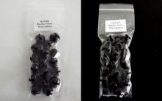 Jaboticaba Brazilian Grape Tree Plinia Cauliflora Seeds