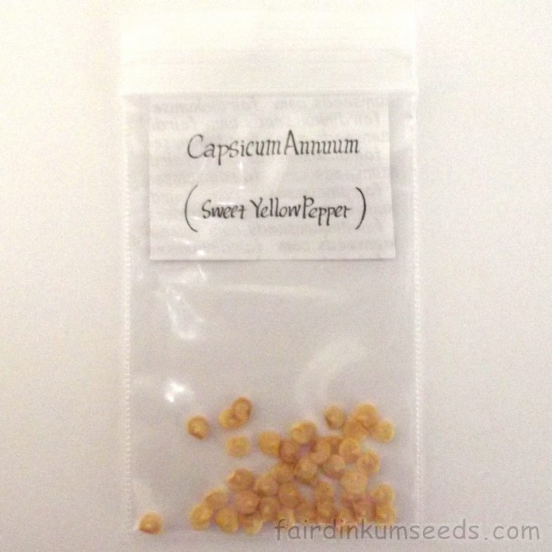 Capsicum Annuum Yellow Sweet Bell Pepper Seeds - Image 4