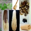 Loofa Sponge Gourd Luffa Aegyptiaca Vine Seeds