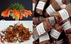 Leonotis Nepetifolia 3grams Herb Dried Petals