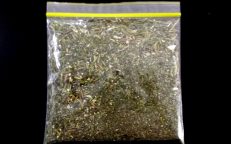 Bug Spray DIY Herb Tagetes Minuta 50grams dried