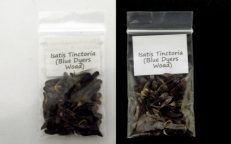 Blue Dyers Woad Isatis Tinctoria Indigotica Seeds