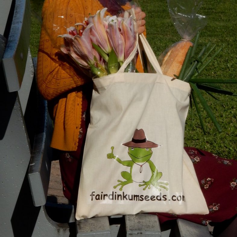 Reusable Cotton Eco Shopping Bag - Image 3