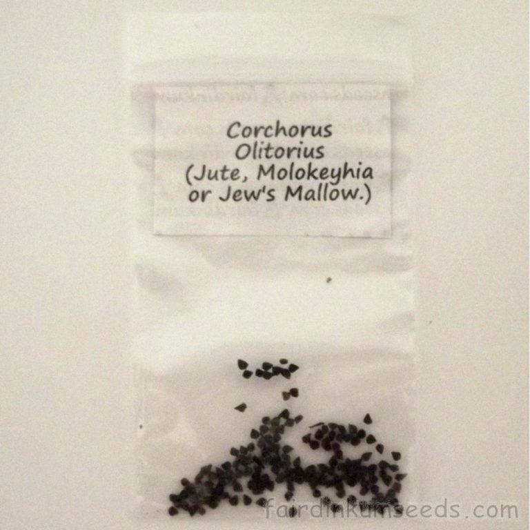 Corchorus Olitorius Molokeyhia Jute Jews Mallow Seeds Fair Dinkum Seeds