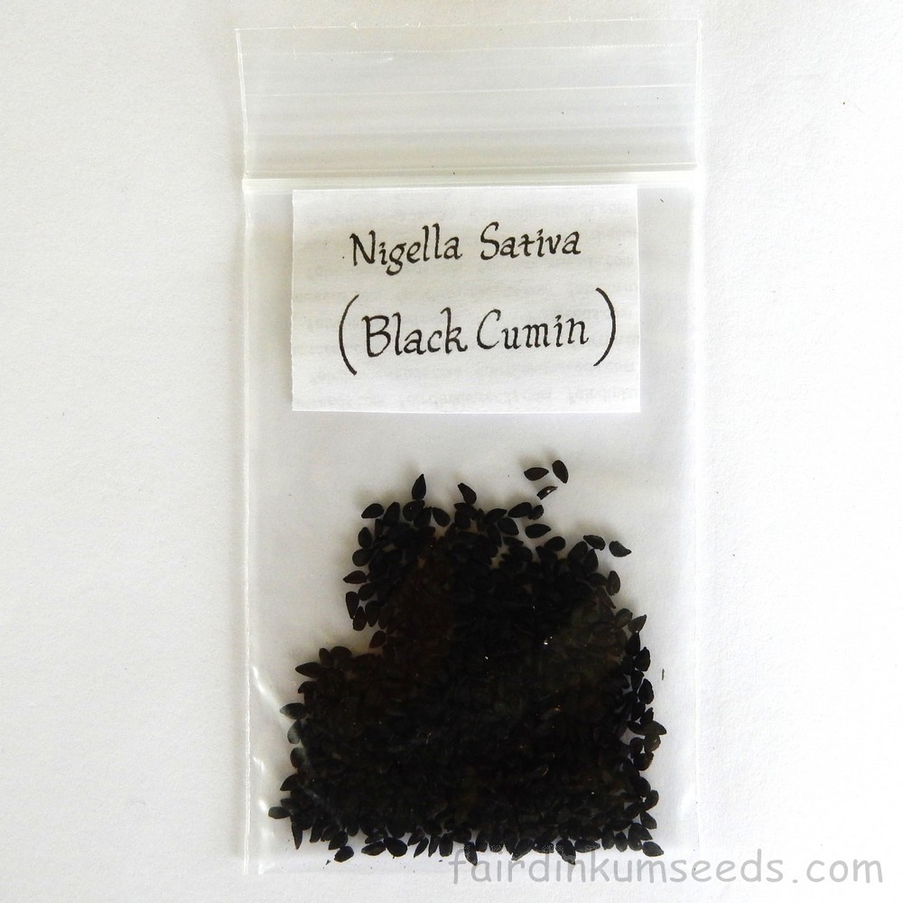 Nigella Sativa Black Seed Cumin Fennel Flower Seeds Fair Dinkum Seeds
