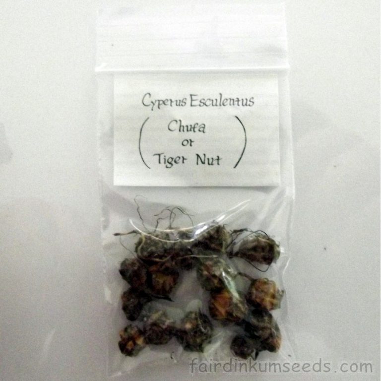 Tiger Nut Earth Almonds Chufa Cyperus Esculentus Tubers Fair Dinkum Seeds
