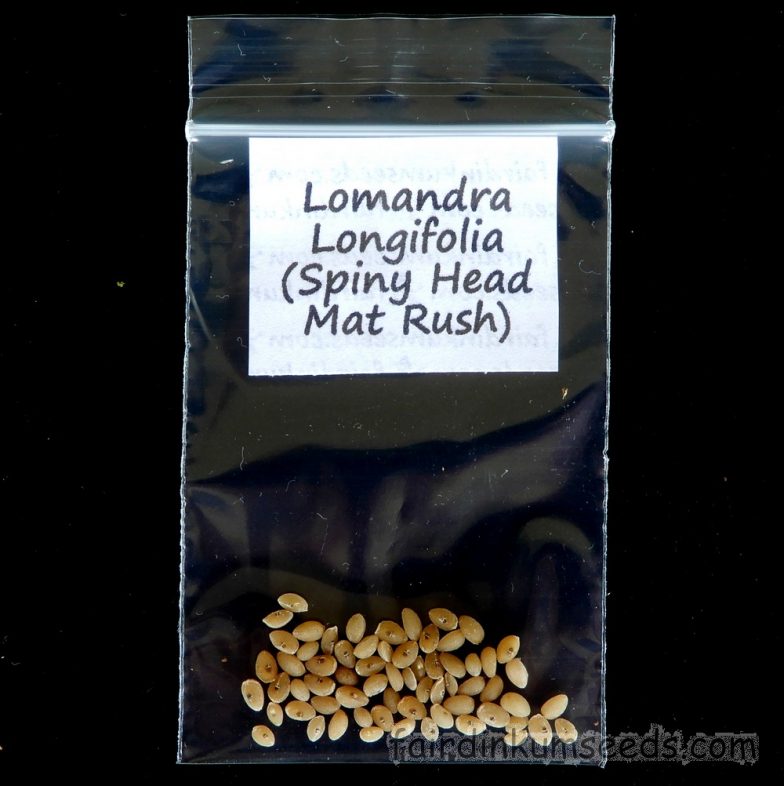 Lomandra Longifolia Spiny Head Mat Rush Seeds Fair Dinkum Seeds