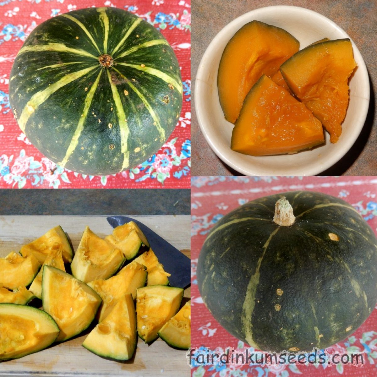 Japanese Kabocha Pumpkin Cucurbita Pepo Seeds Fair Dinkum Seeds