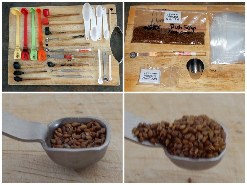 How we harvest sort and pack our seeds