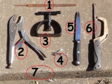 Seed Dormancy Scarification Germination Inhibitors