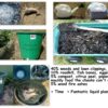 Bacterial decomposition of liquid compost including meat