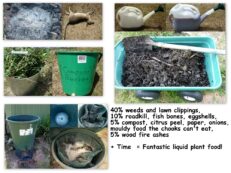 Bacterial decomposition of liquid compost including meat