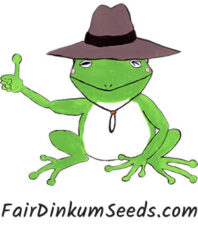 Fair Dinkum Seeds Newsletter