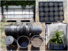 Pots, buckets, tubs, tanks, rows and raised beds