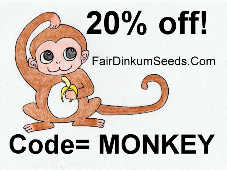 MONKEY coupon code 20 percent off discount Fair