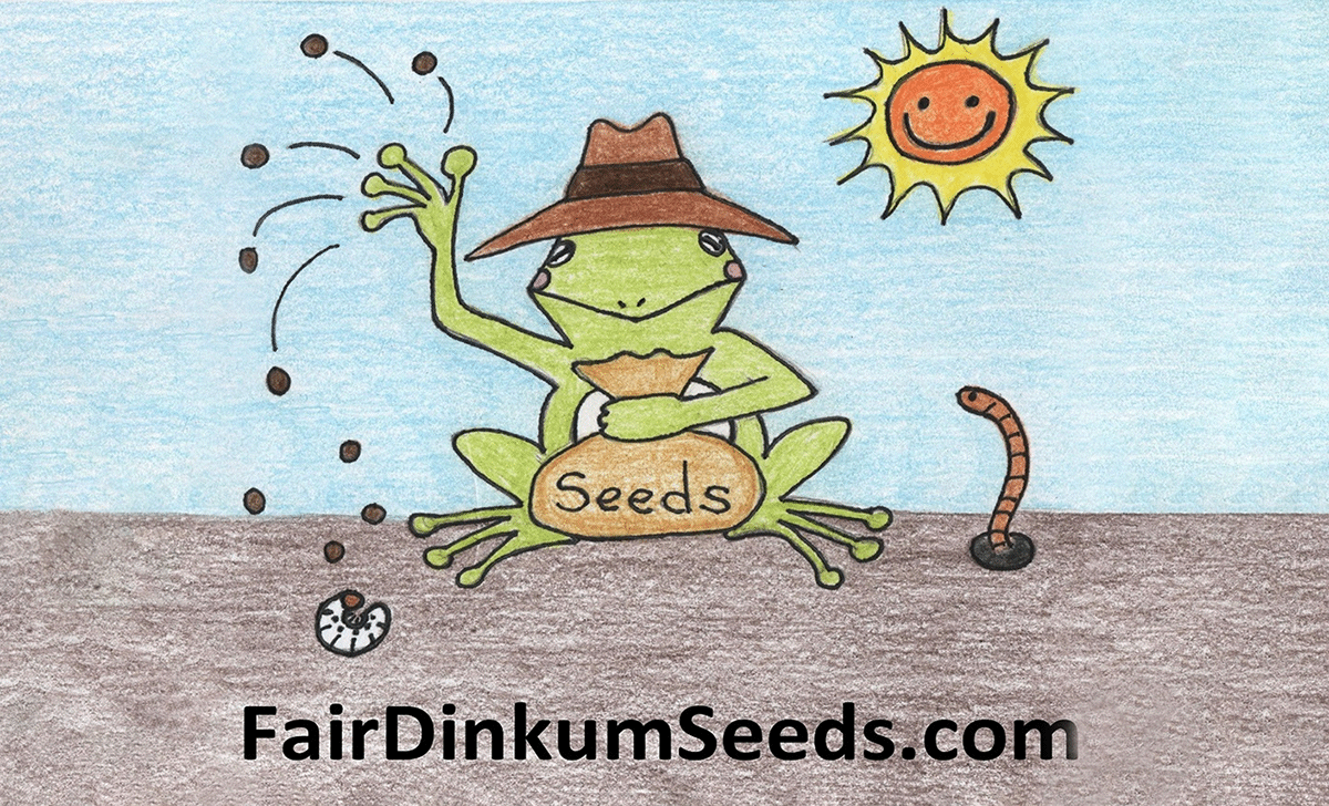 Fair Dinkum Seeds Rare Australian Plants Bushtucke OP Heirloom Herbs Seeds