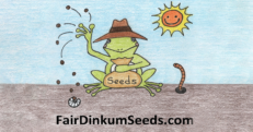 Fair Dinkum Seeds Rare Australian Plants Bushtucke OP Heirloom Herbs Seeds