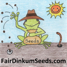 Fair Dinkum Seeds Rare Australian Plants Bushtucker OP Heirloom Herbs